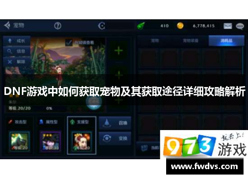 DNF游戏中如何获取宠物及其获取途径详细攻略解析