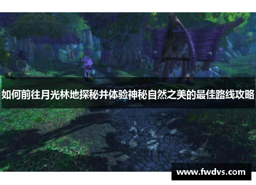 如何前往月光林地探秘并体验神秘自然之美的最佳路线攻略