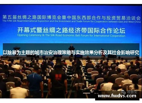 以除暴为主题的城市治安治理策略与实施效果分析及其社会影响研究
